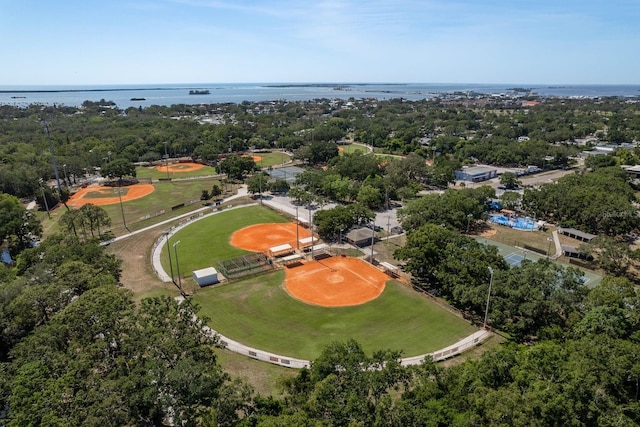 2271 Carolyn Dr, Dunedin, FL 34698 - aerial view of a large body of water and a tree filled landscape
