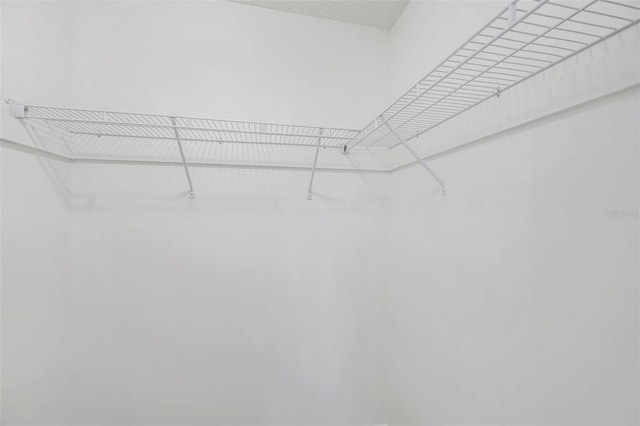 8521 N 29th St, Tampa, FL 33604 - view of walk in closet