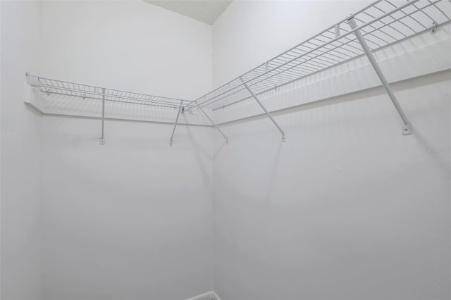 8521 N 29th St, Tampa, FL 33604 - view of walk in closet