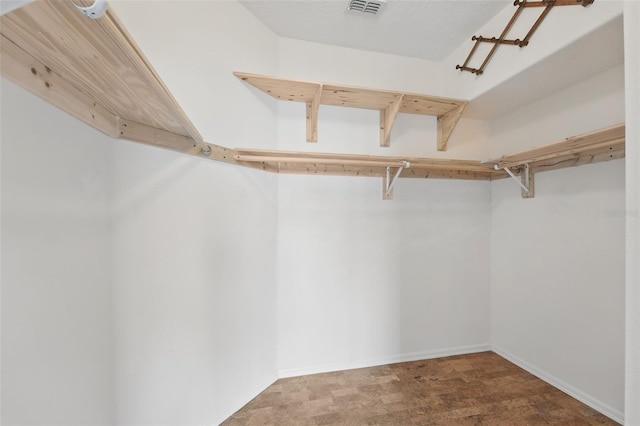 442 Graystone Blvd, Davenport, FL 33837 - view of walk in closet