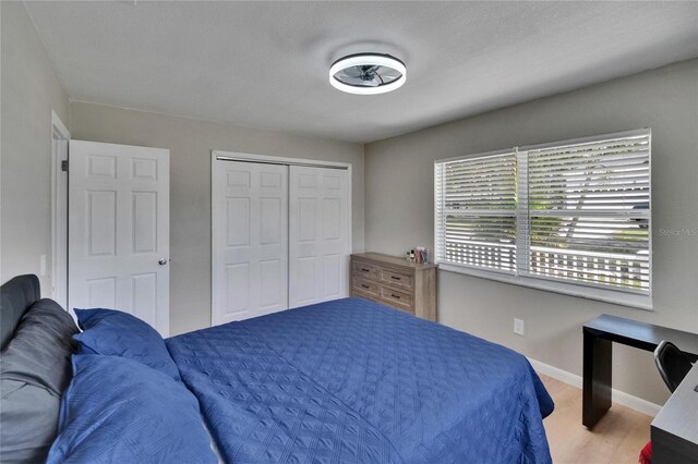 206 4th Ave NW, Ruskin, FL 33570 - bedroom featuring wood finished floors, baseboards, and a closet