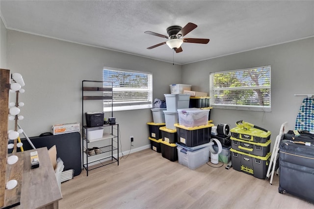 206 4th Ave NW, Ruskin, FL 33570 - storage featuring a ceiling fan