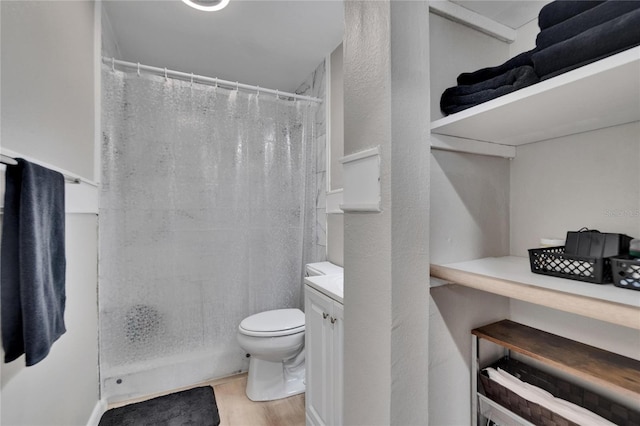 206 4th Ave NW, Ruskin, FL 33570 - bathroom with toilet, wood finished floors, a shower with curtain, and vanity