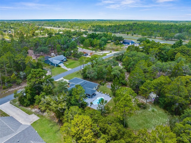 10197 Meadow Wren Ave, Weeki Wachee, FL 34613 - drone / aerial view of a forest