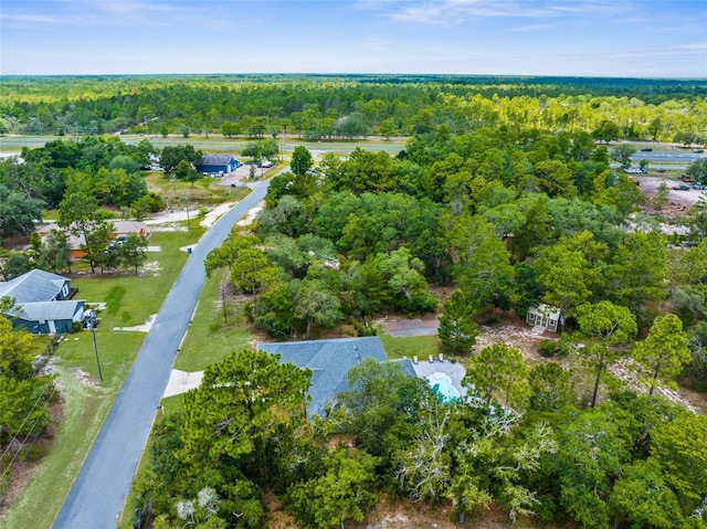 10197 Meadow Wren Ave, Weeki Wachee, FL 34613 - aerial overview of property's location with a heavily wooded area