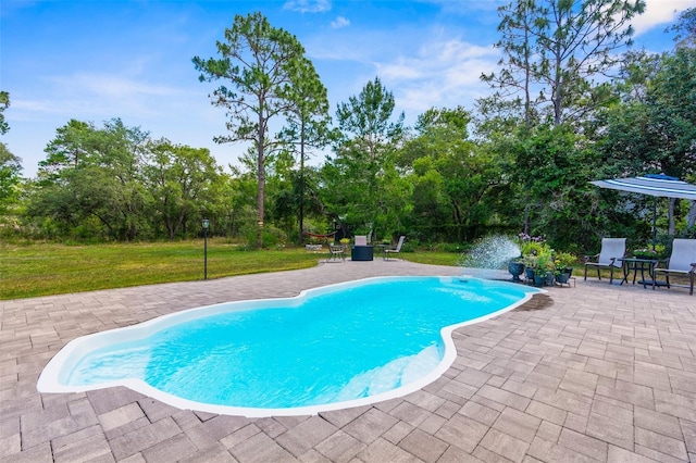 10197 Meadow Wren Ave, Weeki Wachee, FL 34613 - swimming pool featuring a patio area, a lawn, and view of scattered trees