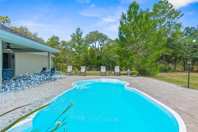 10197 Meadow Wren Ave, Weeki Wachee, FL 34613 - swimming pool featuring a patio, a ceiling fan, and view of wooded area