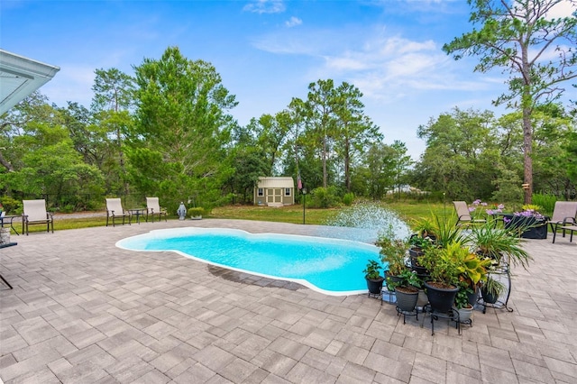10197 Meadow Wren Ave, Weeki Wachee, FL 34613 - swimming pool with a patio and view of scattered trees