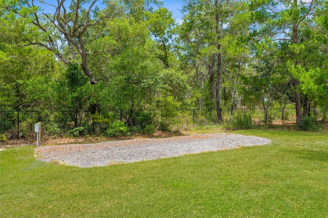 10197 Meadow Wren Ave, Weeki Wachee, FL 34613 - view of yard