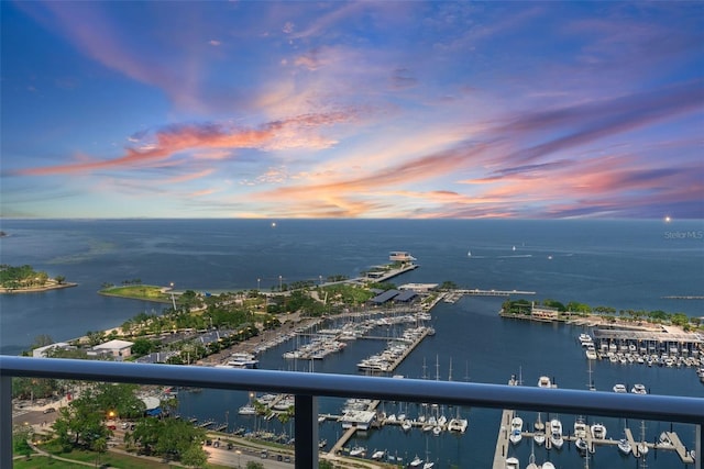 100 1st Ave N Unit 2703, Saint Petersburg, FL 33701 - water view with numerous boat docks