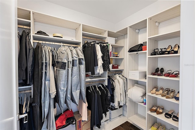 100 1st Ave N Unit 2703, Saint Petersburg, FL 33701 - view of walk in closet