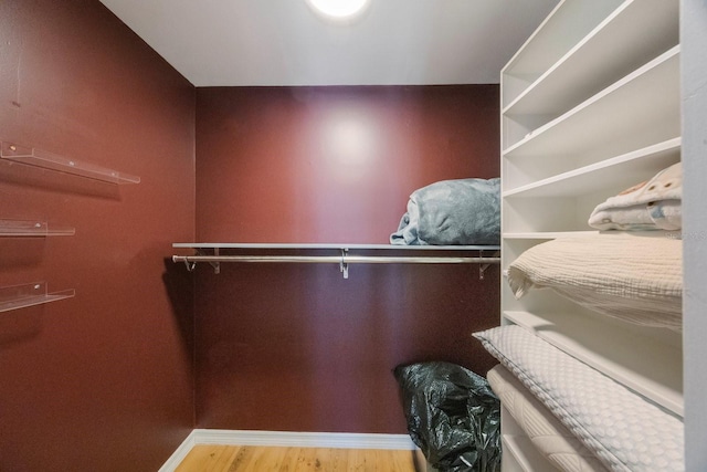 1706 Sloop Pl, Brandon, FL 33511 - spacious closet with wood finished floors