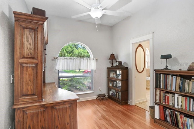 613 Sportsman Park Dr, Seffner, FL 33584 - home office with a ceiling fan, light wood-type flooring, and baseboards