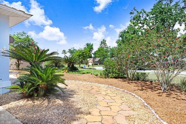 613 Sportsman Park Dr, Seffner, FL 33584 - view of yard