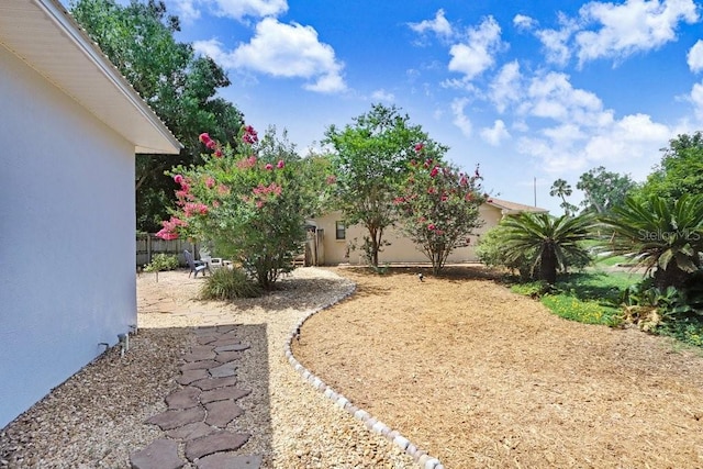 613 Sportsman Park Dr, Seffner, FL 33584 - view of yard with a patio