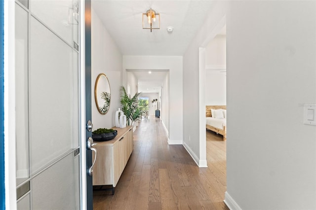 6123 Golden Nettle Dr, Apollo Beach, FL 33572 - hall featuring wood finished floors and baseboards