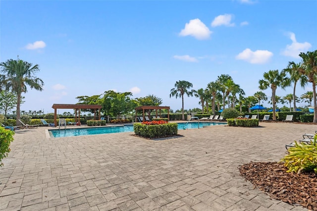 6123 Golden Nettle Dr, Apollo Beach, FL 33572 - community pool with a pergola and a patio area