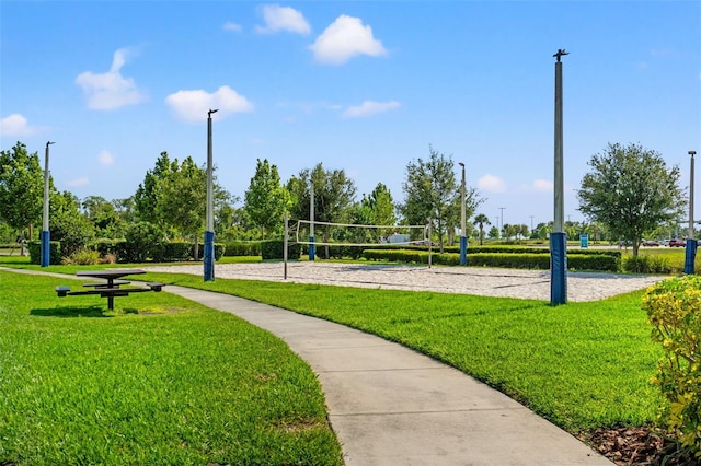 6123 Golden Nettle Dr, Apollo Beach, FL 33572 - surrounding community with volleyball court and a lawn