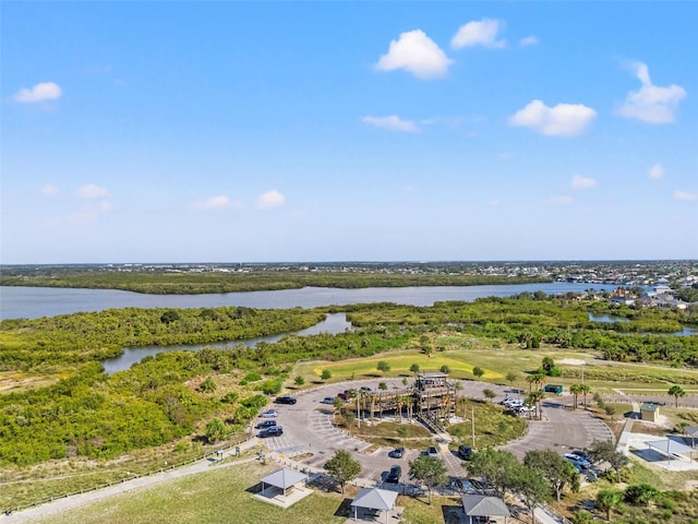 6123 Golden Nettle Dr, Apollo Beach, FL 33572 - bird's eye view of a large body of water