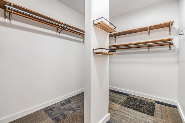 660 Channing Dr, Palm Harbor, FL 34684 - view of spacious closet