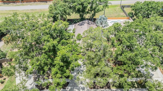 660 Channing Dr, Palm Harbor, FL 34684 - aerial view