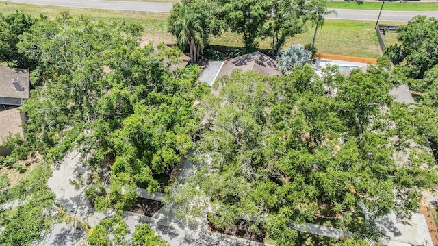 660 Channing Dr, Palm Harbor, FL 34684 - aerial view