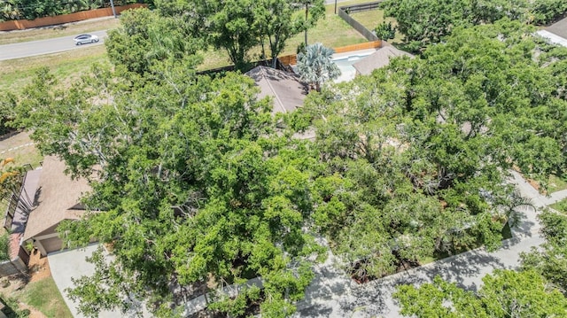 660 Channing Dr, Palm Harbor, FL 34684 - bird's eye view