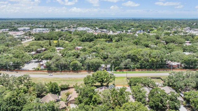 660 Channing Dr, Palm Harbor, FL 34684 - bird's eye view of a forest