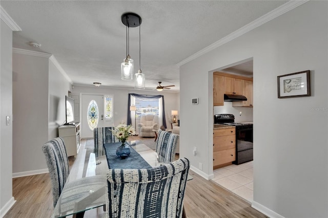 1813 Allegheny Dr, Sun City Center, FL 33573 - dining area with light wood-style floors, ornamental molding, a ceiling fan, a textured ceiling, and baseboards