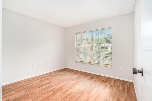 11222 Clayridge Dr, Tampa, FL 33635 - photo 22