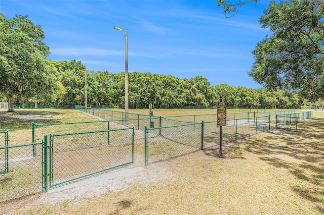 11222 Clayridge Dr, Tampa, FL 33635 - photo 38