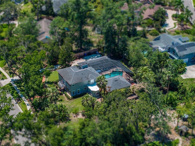 4611 Ackerly Way, Brandon, FL 33511 - aerial view of a tree filled landscape
