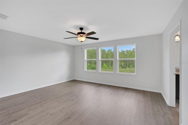 19238 Old Spanish Rd, Tampa, FL 33647 - spare room with ceiling fan, wood finished floors, and baseboards
