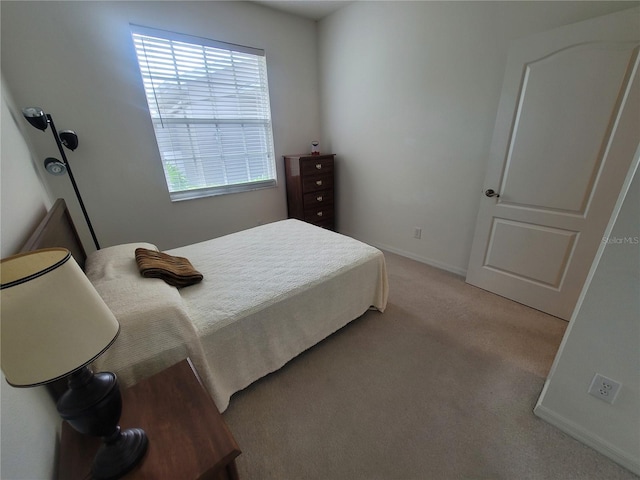 611 Tremont Greens Ln, Sun City Center, FL 33573 - bedroom featuring light carpet and baseboards