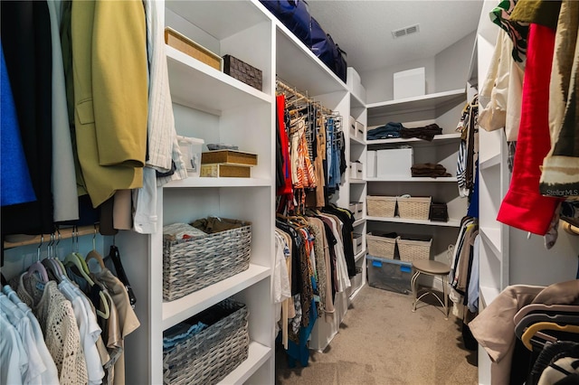 3091 King Fern Dr, Wimauma, FL 33598 - spacious closet featuring carpet floors