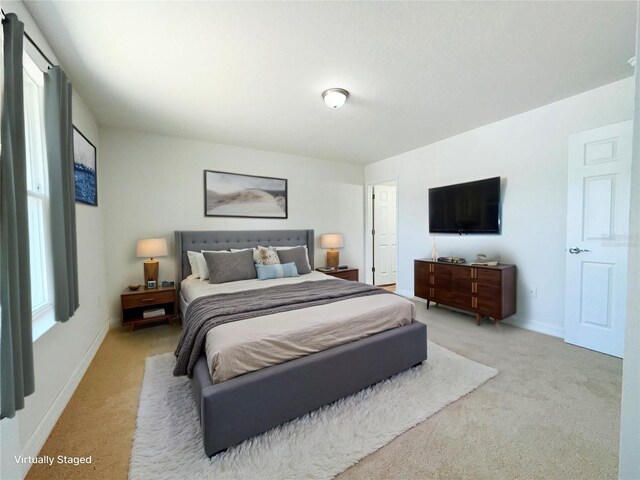 222 Carpenters Way Unit 71, Lakeland, FL 33805 - bedroom with light carpet and baseboards