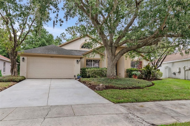 18017 Palm Breeze Dr, Tampa, FL 33647 - photo 50
