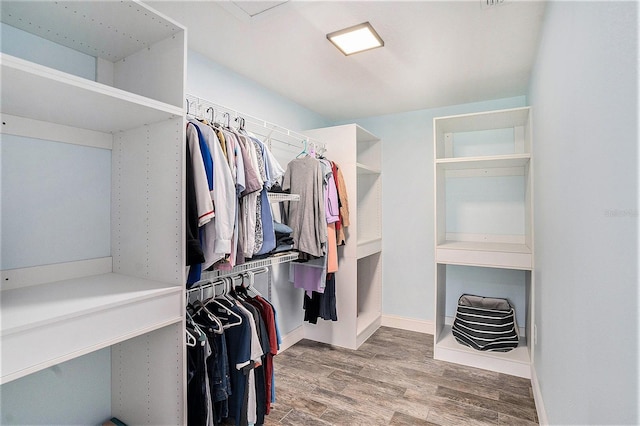 146 Rain Berry Ave, Ruskin, FL 33570 - spacious closet with wood finished floors