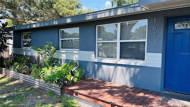 1631 St Mary Dr, Dunedin, FL 34698 - view of property exterior