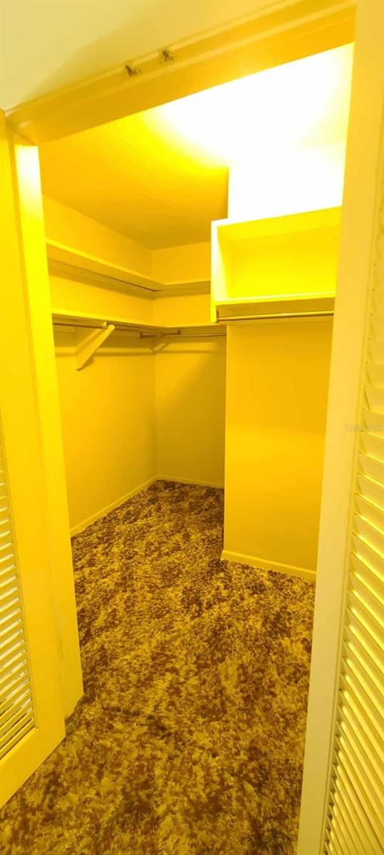 3717 Mckay Creek Dr, Largo, FL 33770 - view of spacious closet