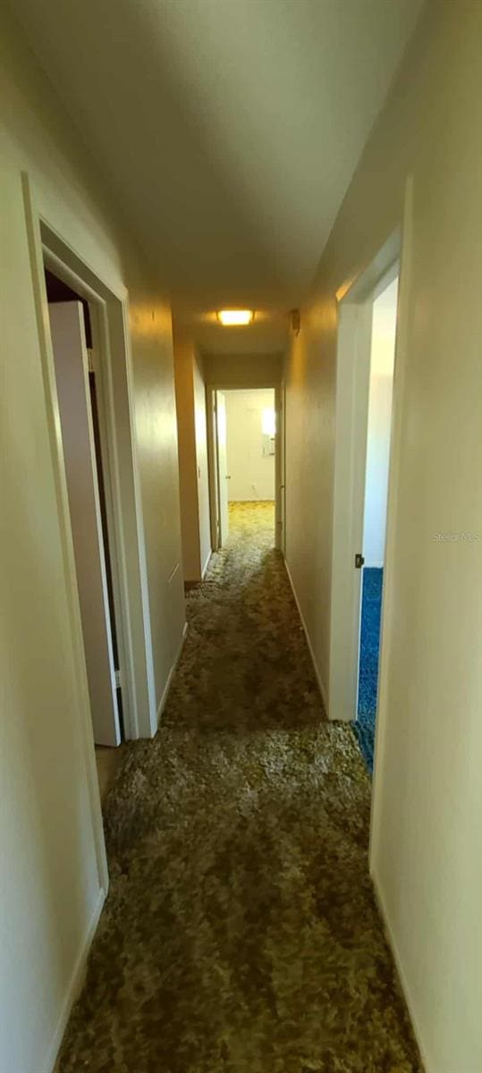 3717 Mckay Creek Dr, Largo, FL 33770 - corridor with carpet floors