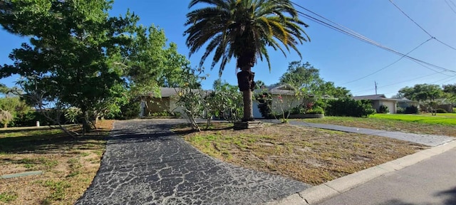 3717 Mckay Creek Dr, Largo, FL 33770 - obstructed view of property with driveway and a front lawn