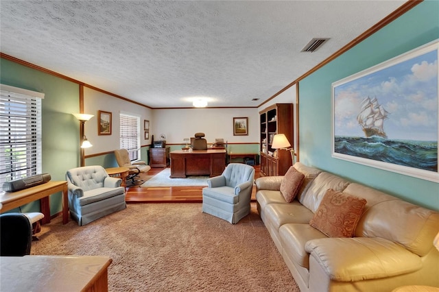 414 Summit Chase Dr, Valrico, FL 33594 - carpeted living room with crown molding and a textured ceiling