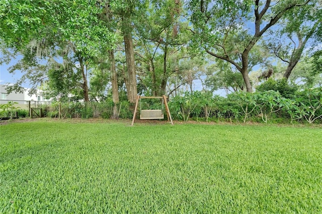 414 Summit Chase Dr, Valrico, FL 33594 - view of yard