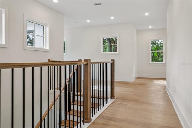 4612 W Tennyson Ave, Tampa, FL 33629 - photo 20