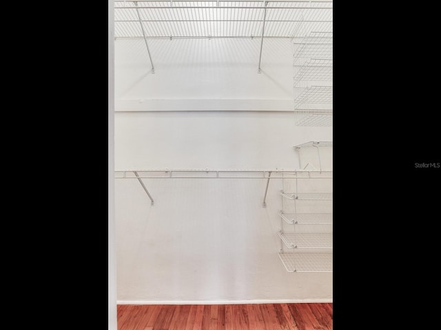 4521 W Azeele St, Tampa, FL 33609 - view of closet