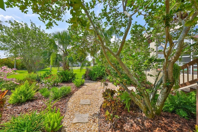 6468 Rubia Cir, Apollo Beach, FL 33572 - view of yard