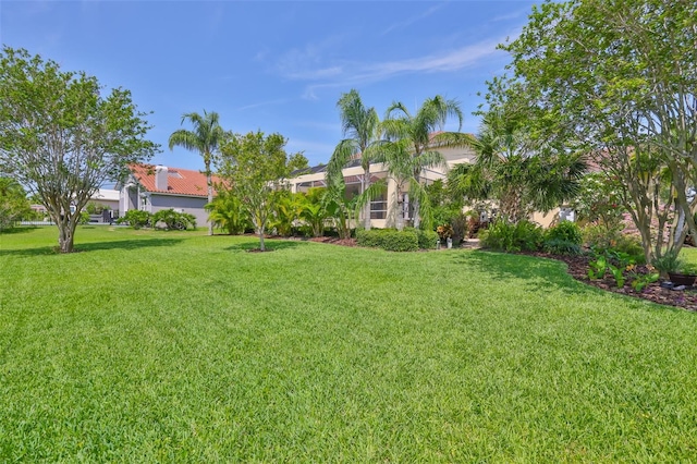 6468 Rubia Cir, Apollo Beach, FL 33572 - view of grassy yard