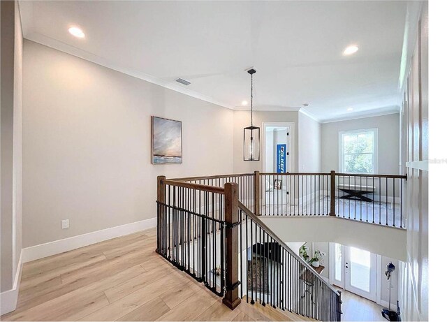 2890 Alexandria Marie Ln, Lutz, FL 33559 - photo 23
