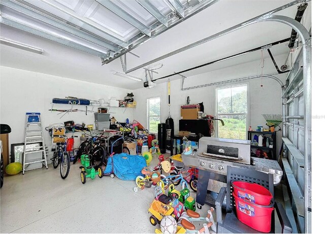 2890 Alexandria Marie Ln, Lutz, FL 33559 - photo 48